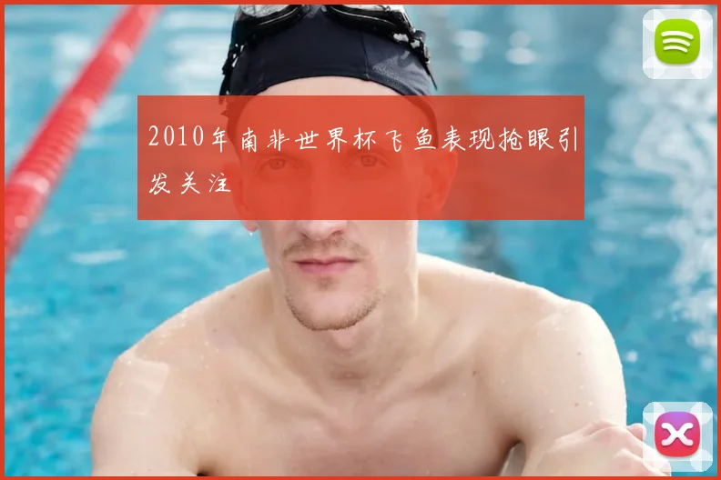 2010年南非世界杯飞鱼表现抢眼引发关注