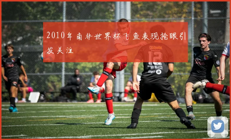 2010年南非世界杯飞鱼表现抢眼引发关注